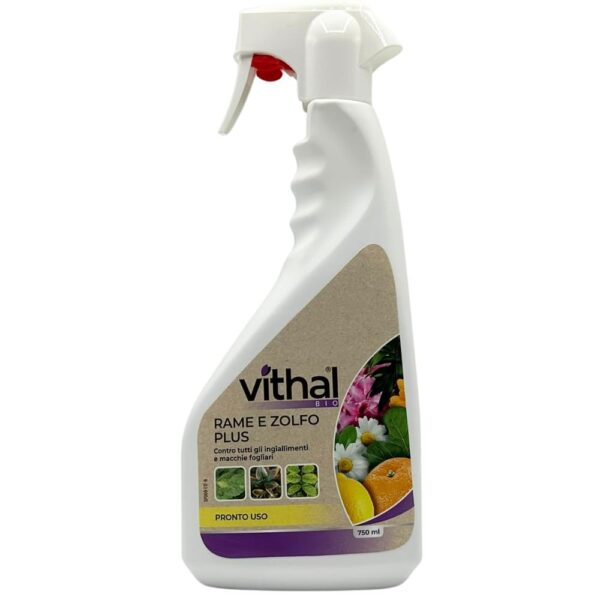 Integratore Rame e Zolfo Plus Vithal Bio